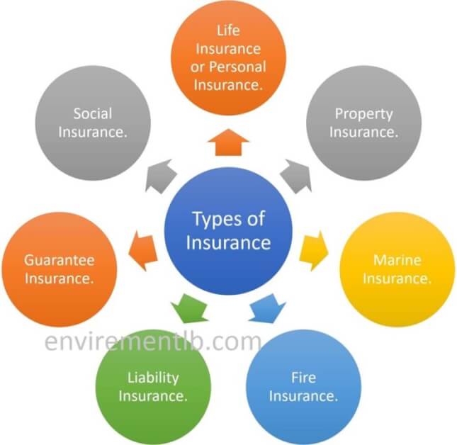 Insurance and types of insurance