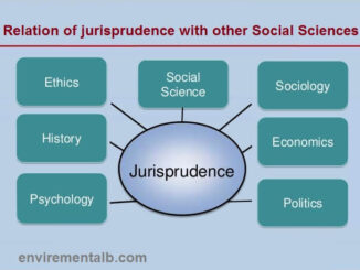 Relation of Jurisprudence with other social sciences