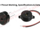 Buzzer Pinout, Working, Specifications & Datasheet