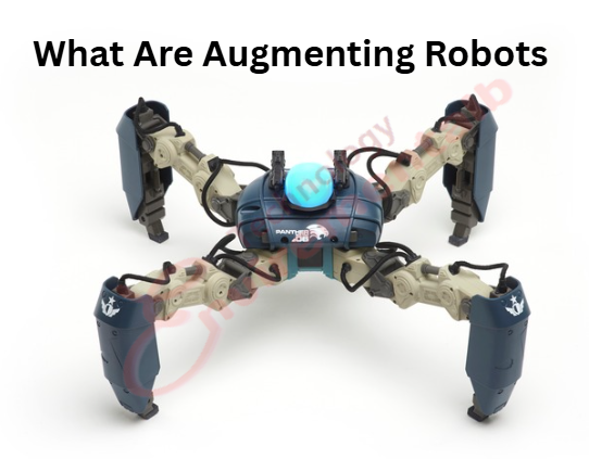 What Are Augmenting Robots