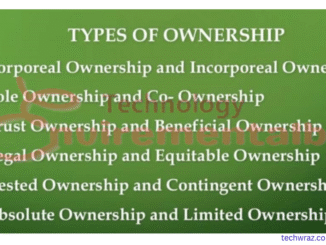 Types of Ownership in jurisprudence